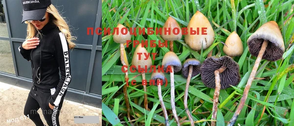 мескалин Верхний Тагил