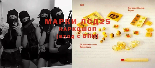 прущие грибы Бугульма